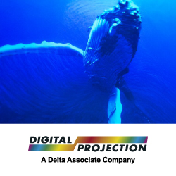  Digital Projection     