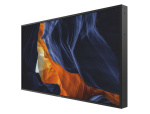 Профессиональный дисплей 55" Direct LED, 2500 нит, OPS
