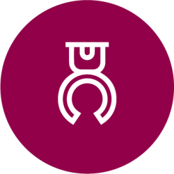 * Крепления для проекторов
