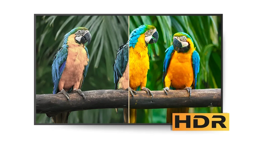 SpinetiX Elementi 2025: что изменилось и как обновить софт, фото-4